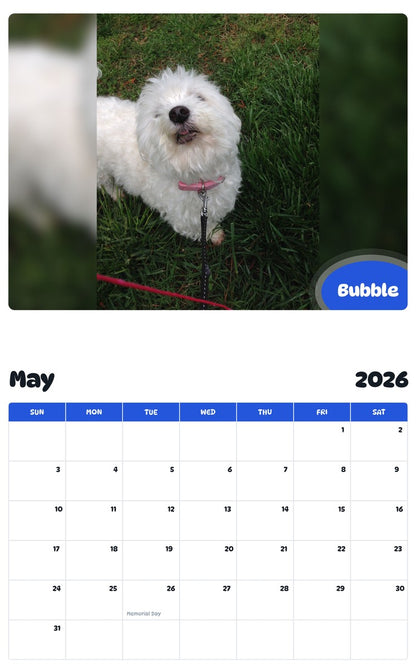 2026 - 2027 Bubble - Pawidols Pet Calendar
