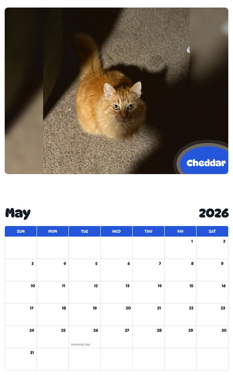 2026 - 2027 Cheddar - Pawidols Pet Calendar
