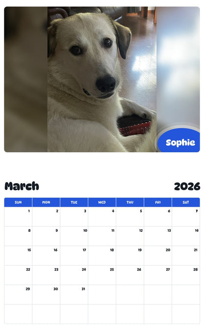 November 2025 - October 2026 Sophie - Pawidols Pet Calendar