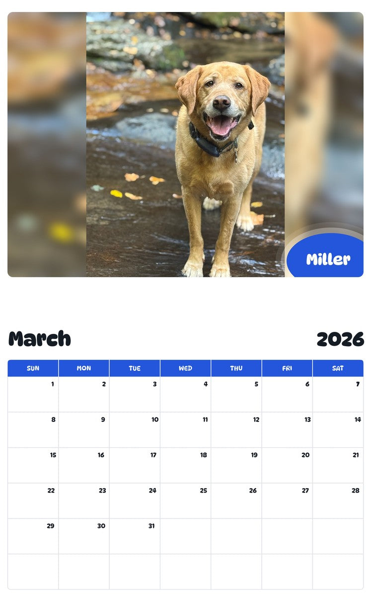 November 2025 - October 2026 Miller - Pawidols Pet Calendar