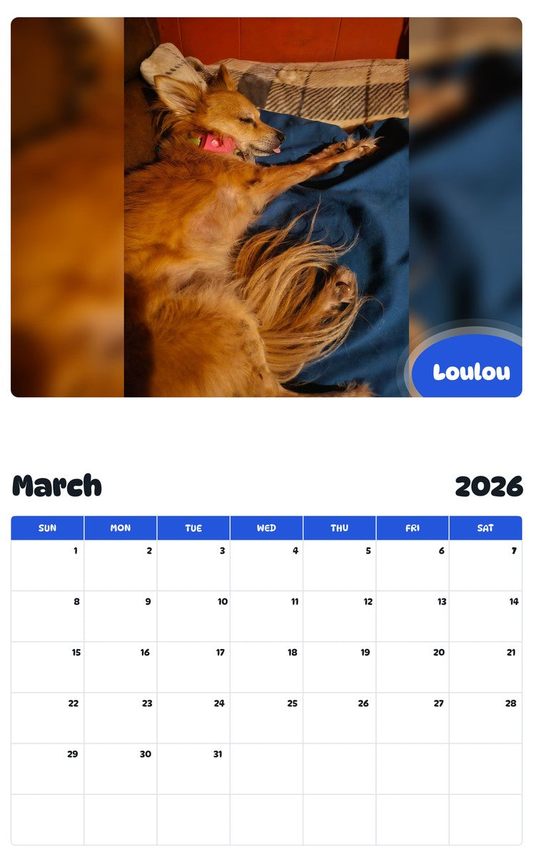 November 2025 - October 2026 Loulou - Pawidols Pet Calendar