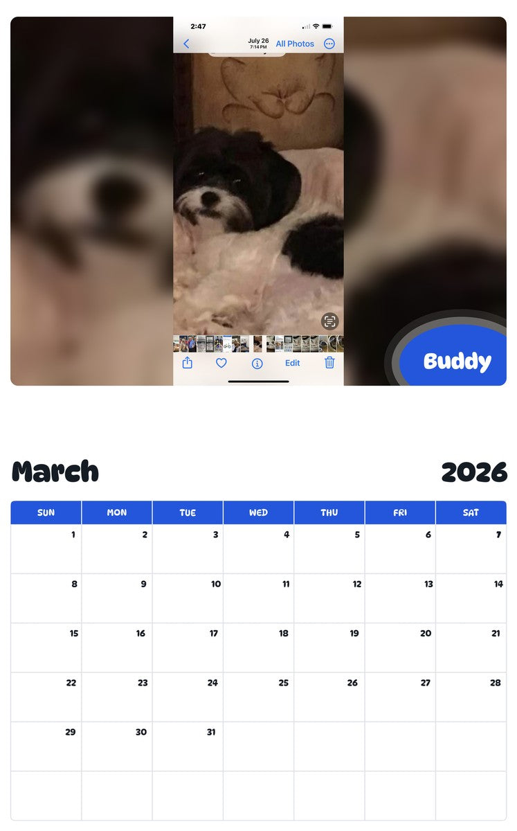 November 2025 - October 2026 Buddy - Pawidols Pet Calendar