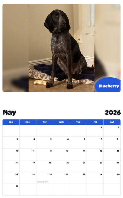 2026 - 2027 Blueberry - Pawidols Pet Calendar