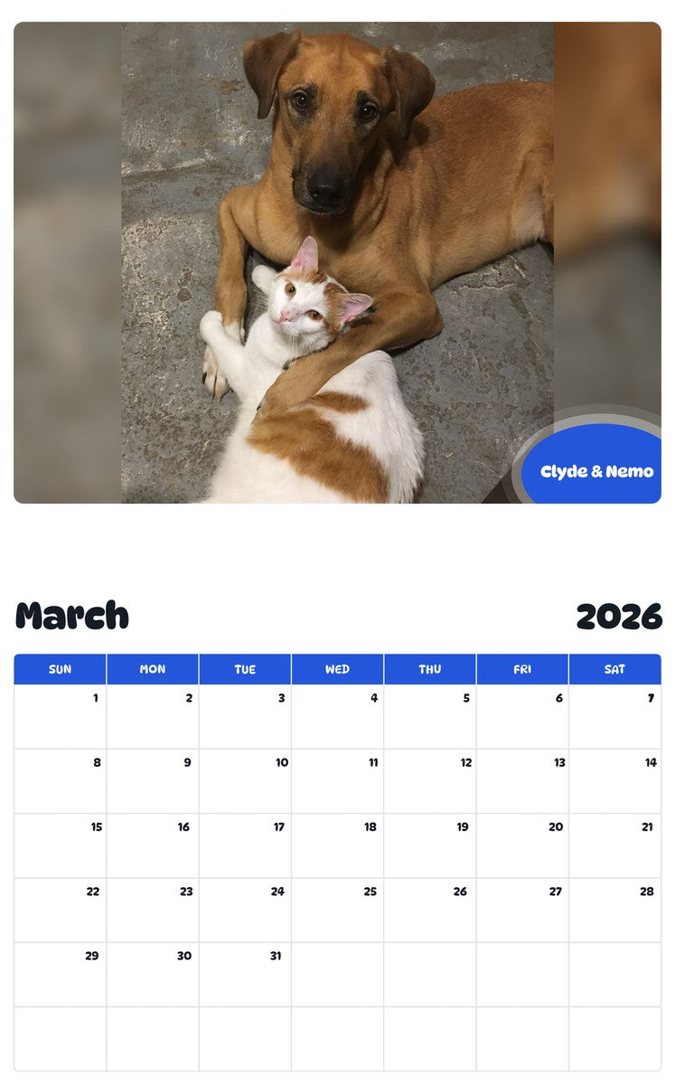 November 2025 - October 2026 Clyde & Nemo - Pawidols Pet Calendar