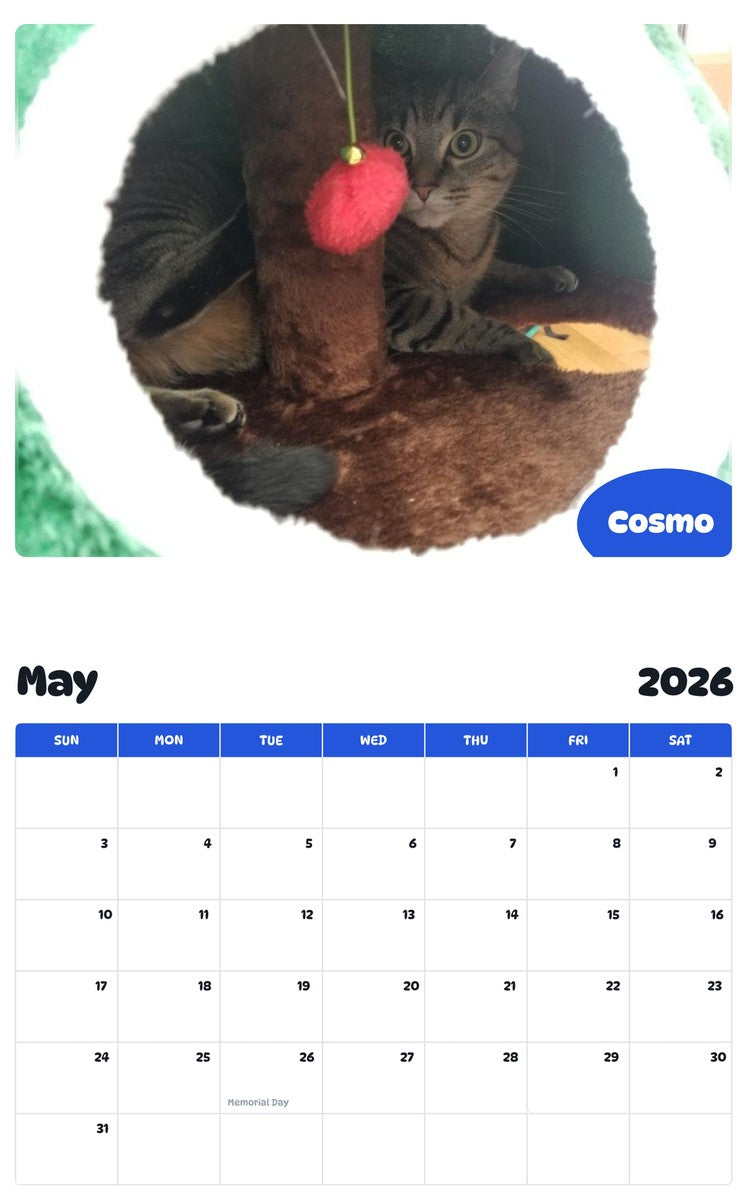 2026 - 2027 Cosmo - Pawidols Pet Calendar