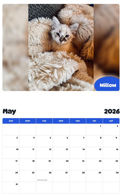 2026 - 2027 Willow - Pawidols Pet Calendar