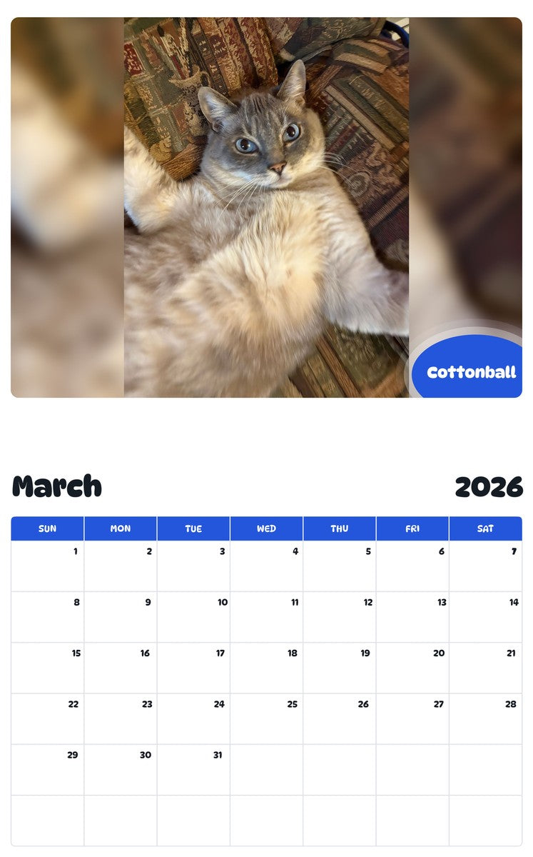 November 2025 - October 2026 Cottonball - Pawidols Pet Calendar
