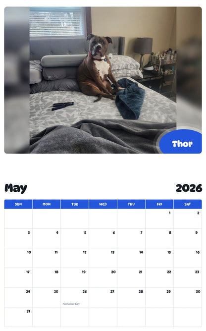 2026 - 2027 Thor - Pawidols Pet Calendar