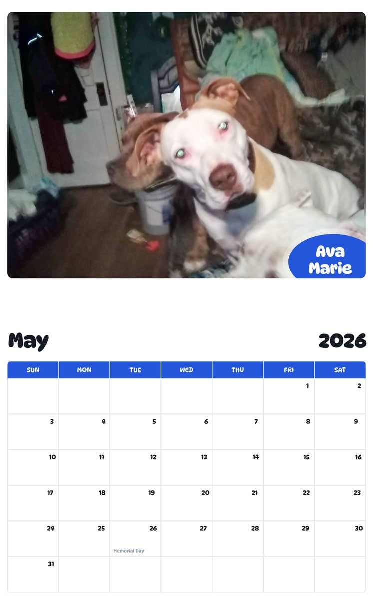 2026 - 2027 Ava Marie - Pawidols Pet Calendar