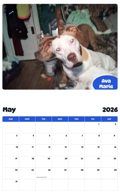2026 - 2027 Ava Marie - Pawidols Pet Calendar