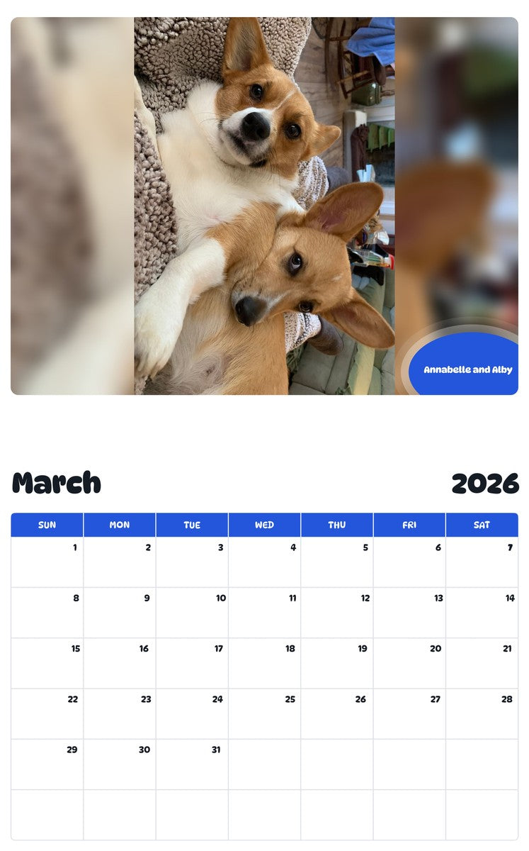 November 2025 - October 2026 Annabelle and Alby - Pawidols Pet Calendar