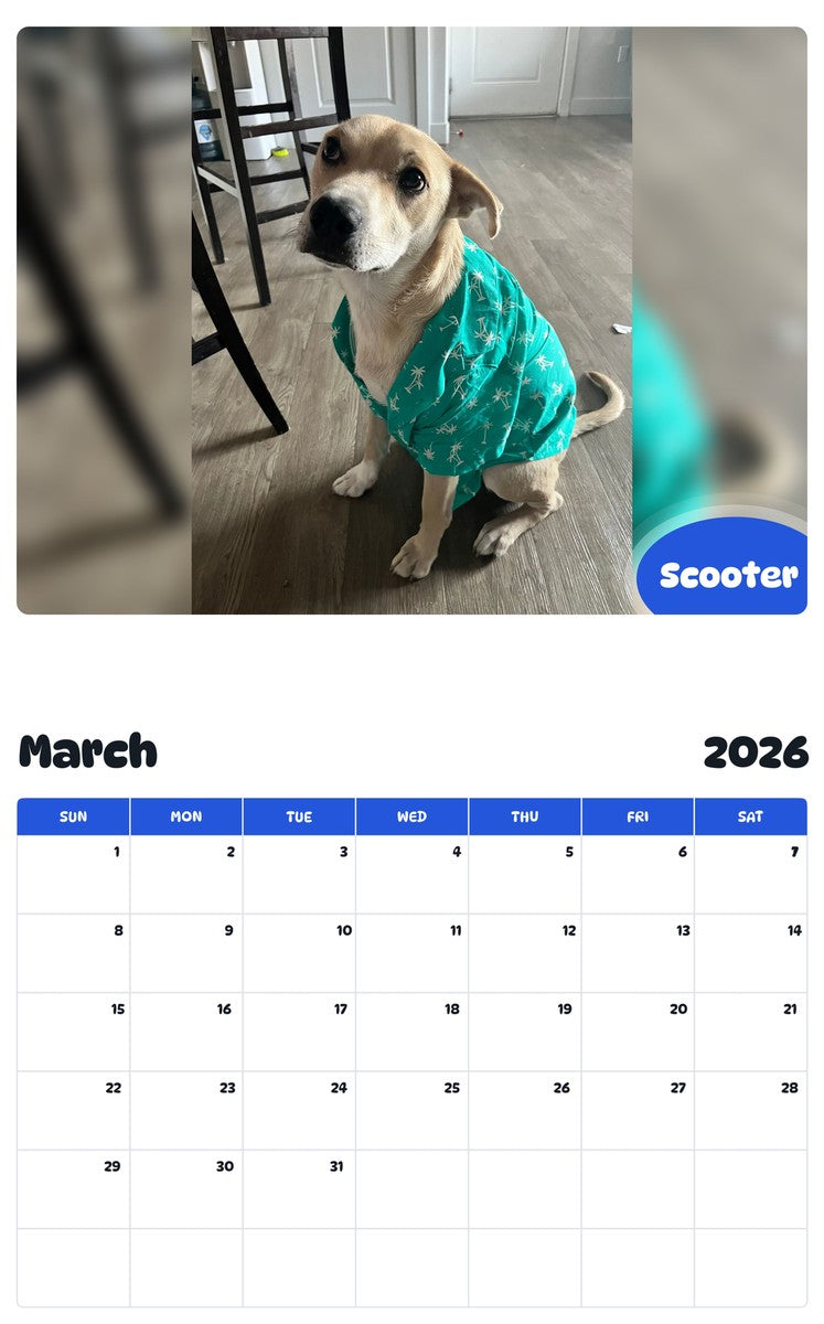 November 2025 - October 2026 Scooter - Pawidols Pet Calendar