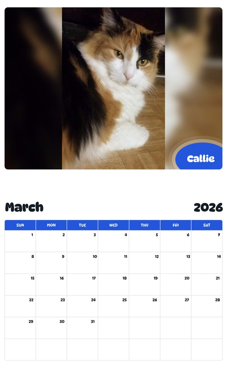 November 2025 - October 2026 Callie - Pawidols Pet Calendar