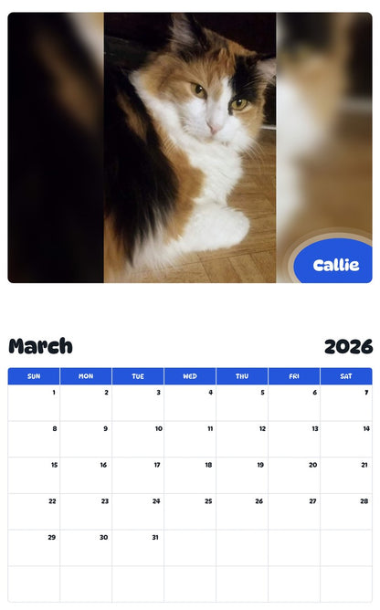 November 2025 - October 2026 Callie - Pawidols Pet Calendar
