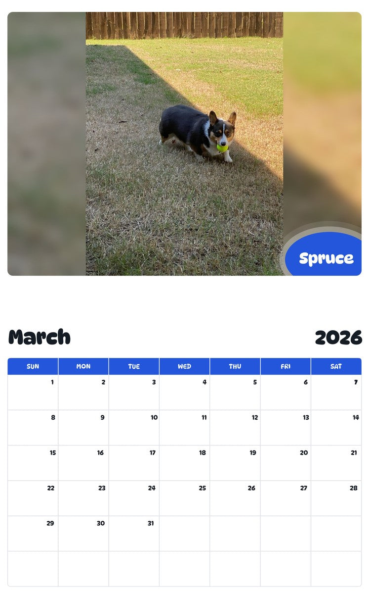 November 2025 - October 2026 Spruce - Pawidols Pet Calendar