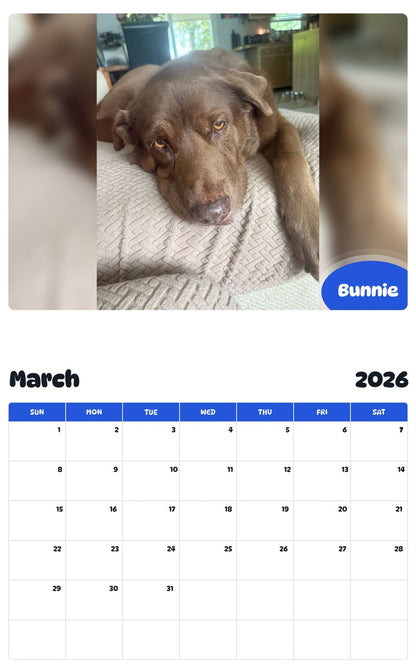 November 2025 - October 2026 Bunnie - Pawidols Pet Calendar