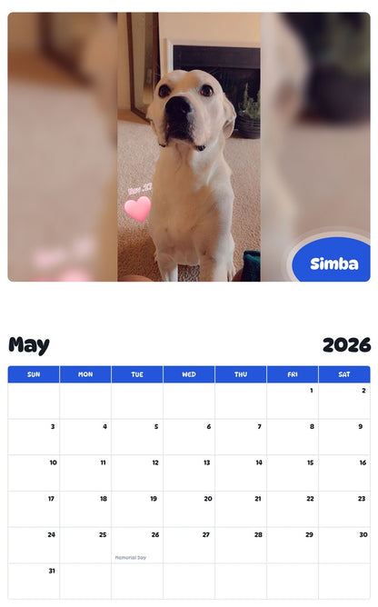 2026 - 2027 Simba - Pawidols Pet Calendar