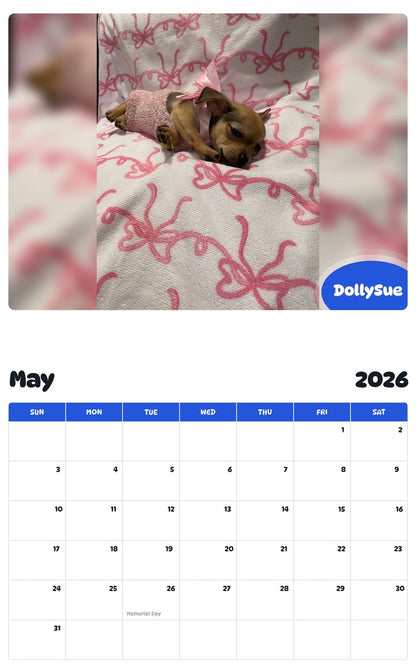 2026 - 2027 DollySue - Pawidols Pet Calendar