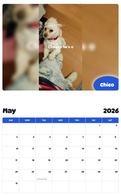 2026 - 2027 Chico - Pawidols Pet Calendar