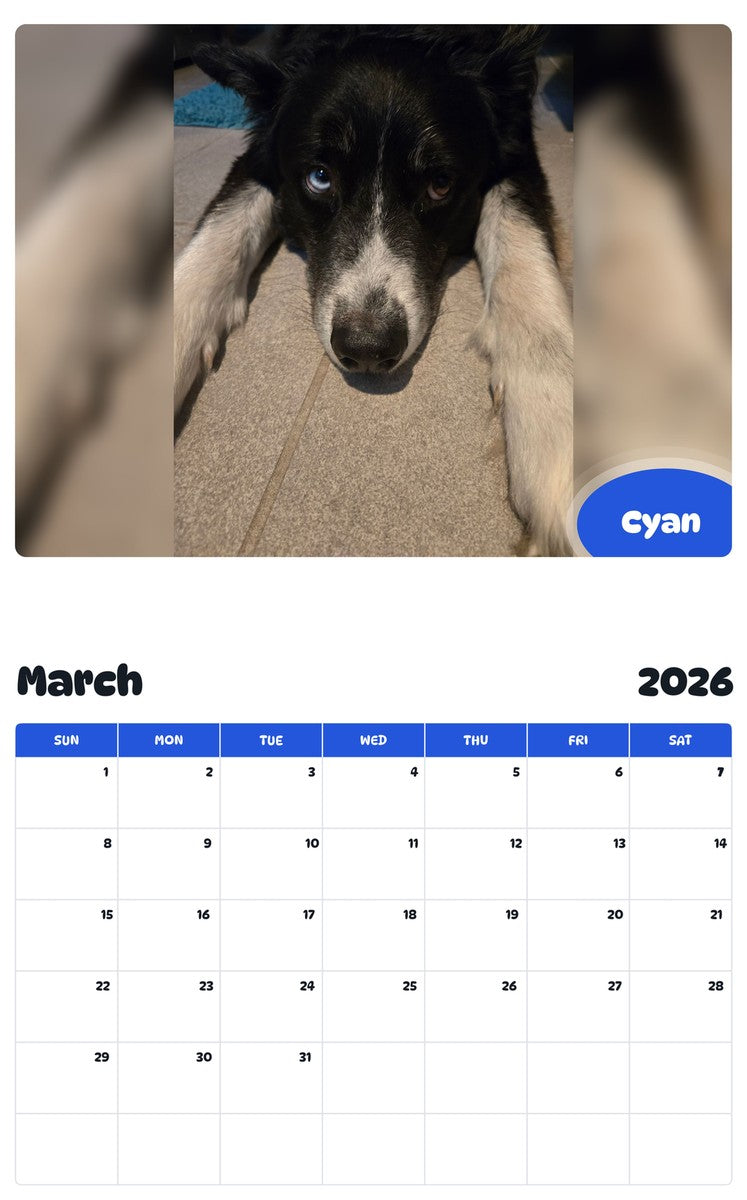November 2025 - October 2026 Cyan - Pawidols Pet Calendar