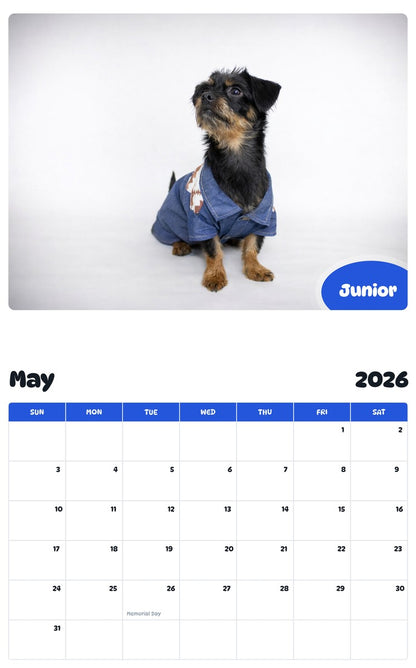 2026 - 2027 Junior - Pawidols Pet Calendar