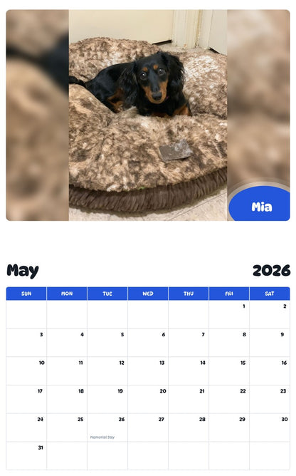 2026 - 2027 Mia - Pawidols Pet Calendar