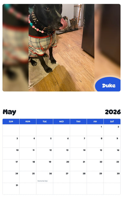 2026 - 2027 Duke - Pawidols Pet Calendar