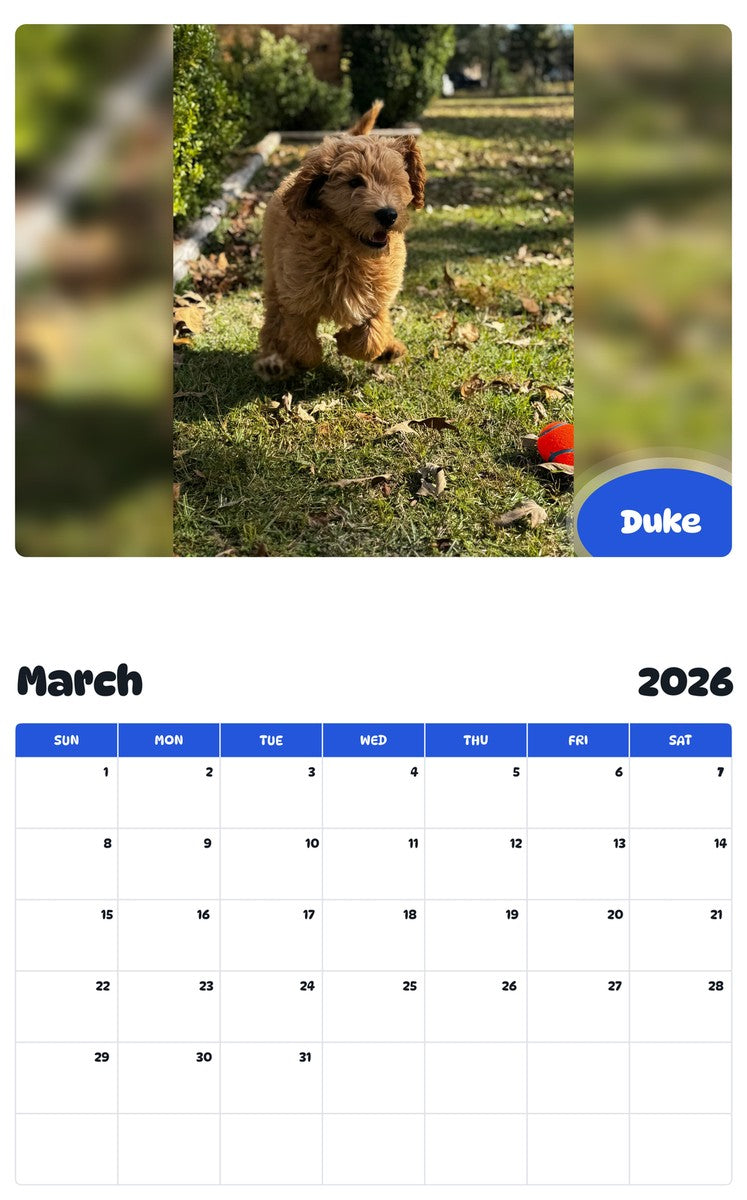 November 2025 - October 2026 Duke - Pawidols Pet Calendar
