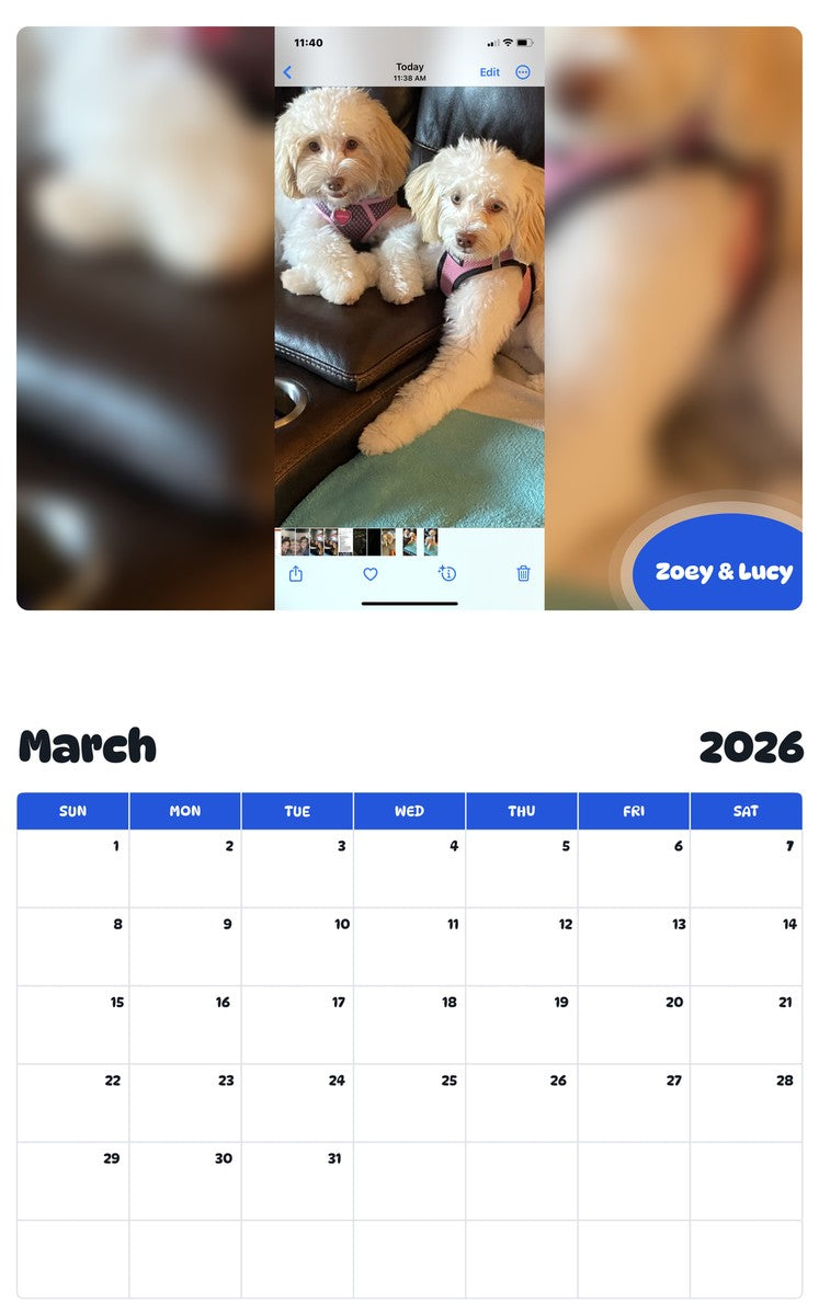 November 2025 - October 2026 Zoey & Lucy - Pawidols Pet Calendar