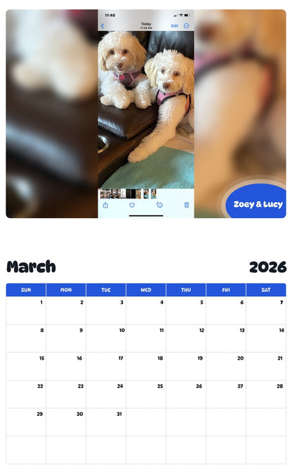 November 2025 - October 2026 Zoey & Lucy - Pawidols Pet Calendar