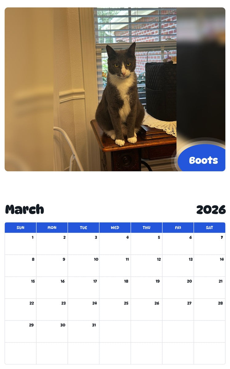 November 2025 - October 2026 Boots - Pawidols Pet Calendar