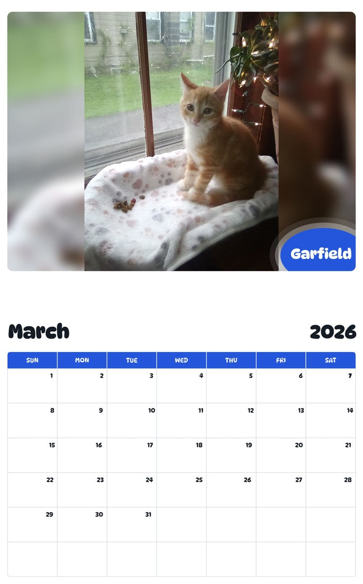 November 2025 - October 2026 Garfield - Pawidols Pet Calendar
