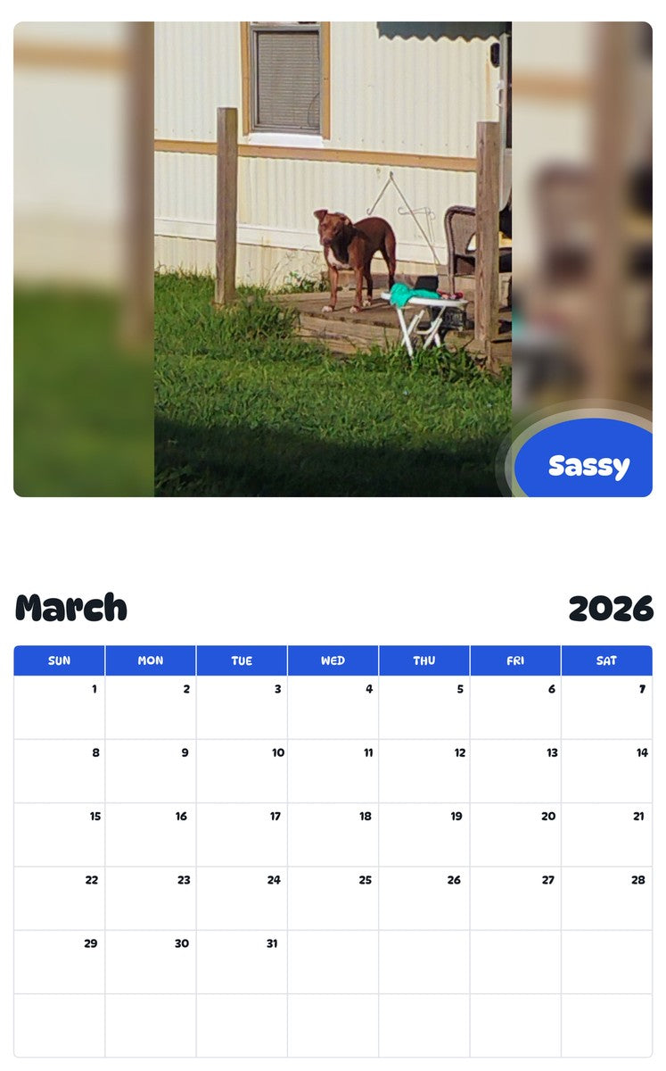 November 2025 - October 2026 Sassy - Pawidols Pet Calendar