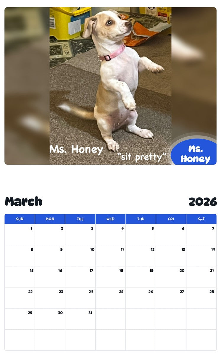 November 2025 - October 2026 Ms. Honey - Pawidols Pet Calendar