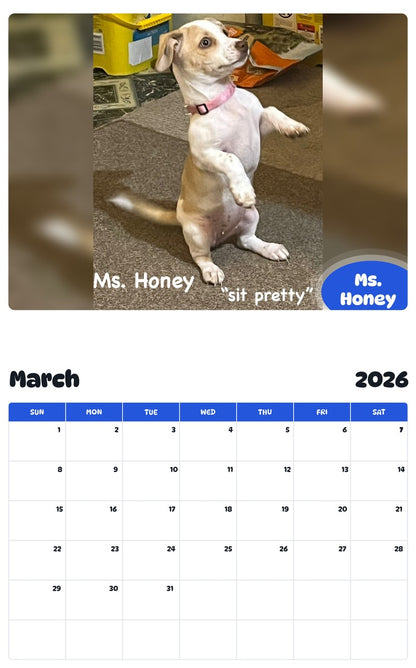 November 2025 - October 2026 Ms. Honey - Pawidols Pet Calendar