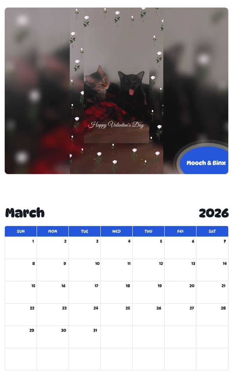 November 2025 - October 2026 Mooch & Binx - Pawidols Pet Calendar