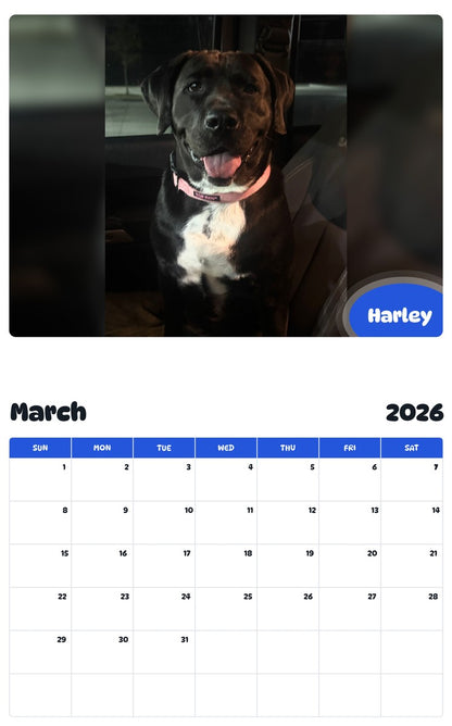 November 2025 - October 2026 Harley - Pawidols Pet Calendar