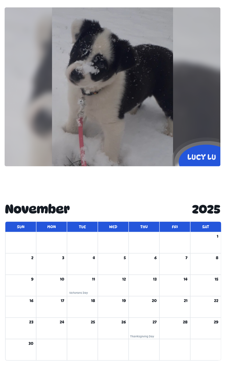 July 2025 - June 2026 Lucy Lu - Pawidols Pet Calendar