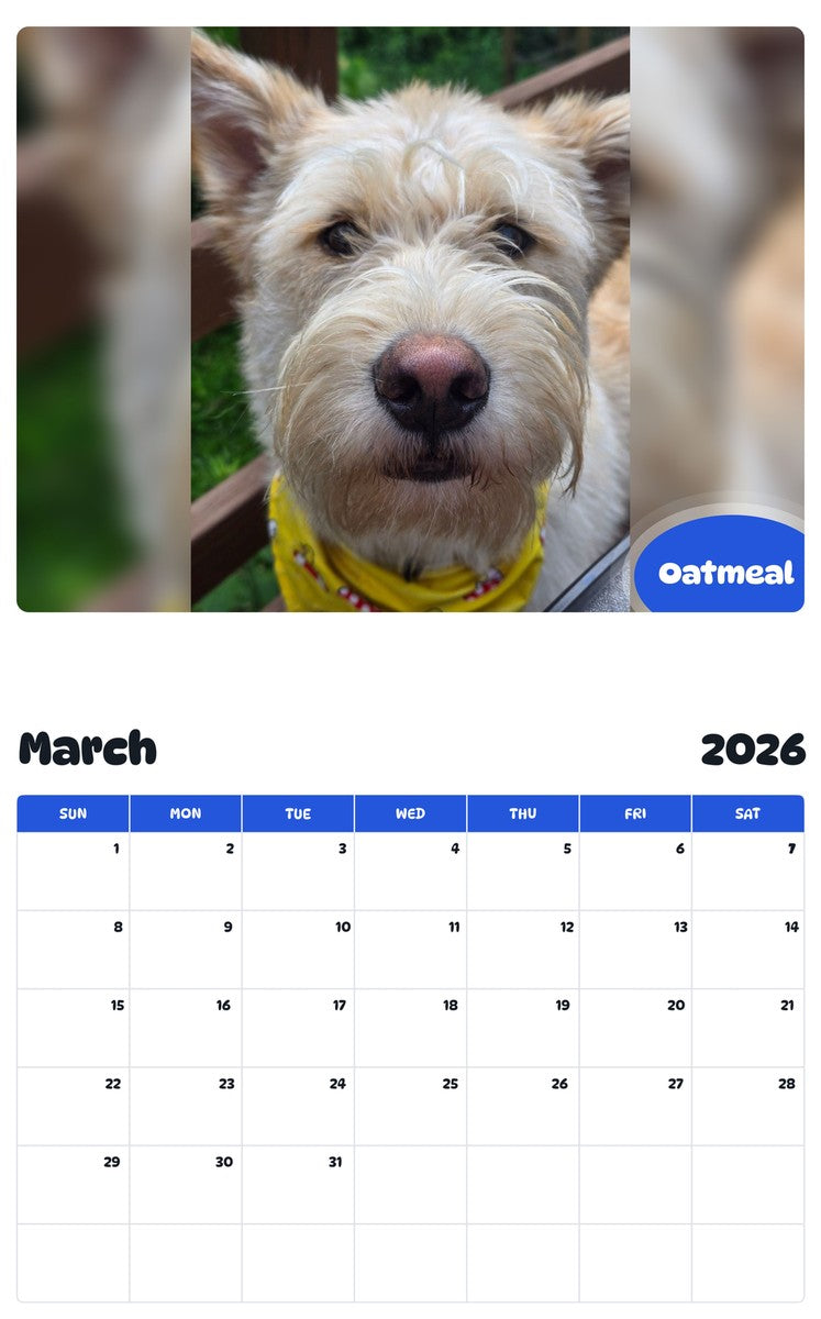 November 2025 - October 2026 Oatmeal - Pawidols Pet Calendar