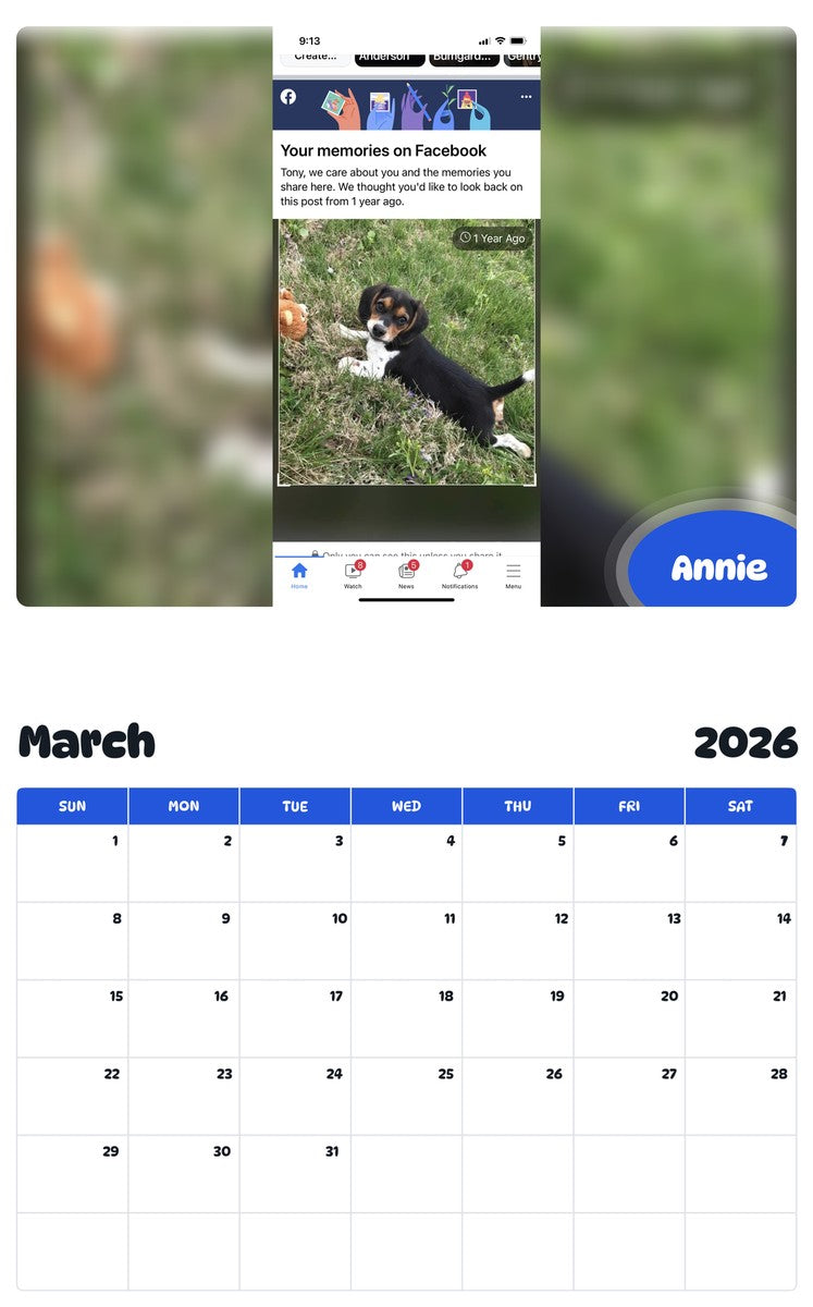 November 2025 - October 2026 Annie - Pawidols Pet Calendar