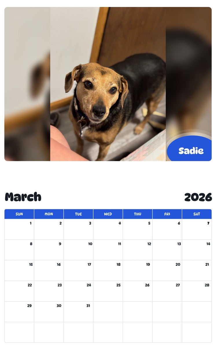 November 2025 - October 2026 Sadie - Pawidols Pet Calendar
