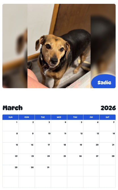 November 2025 - October 2026 Sadie - Pawidols Pet Calendar