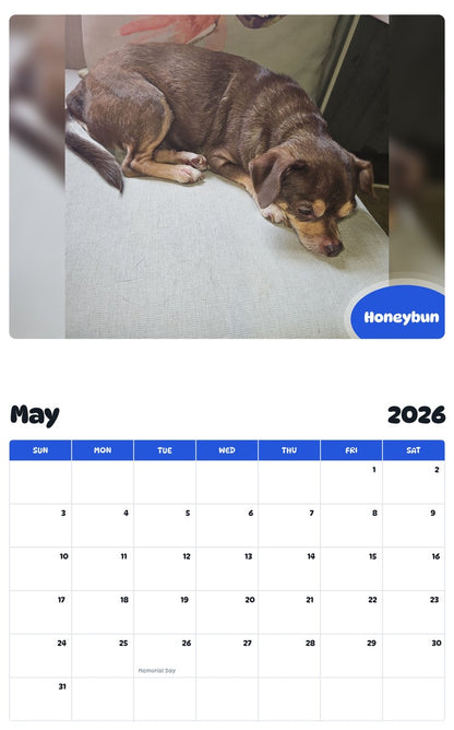 2026 - 2027 Honeybun - Pawidols Pet Calendar