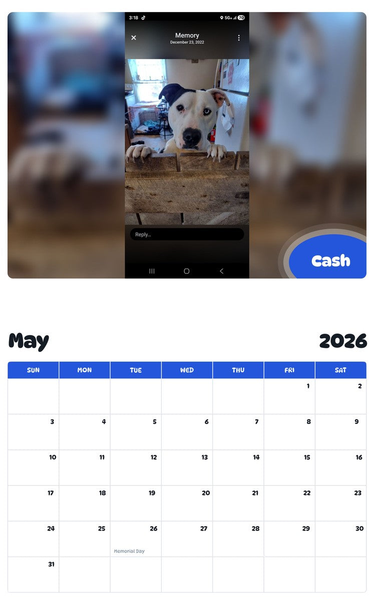 2026 - 2027 Cash - Pawidols Pet Calendar