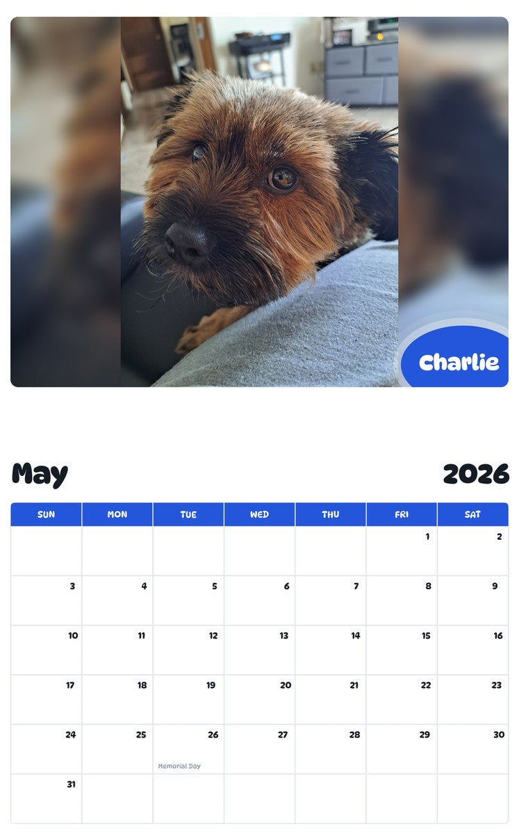 2026 - 2027 Charlie - Pawidols Pet Calendar
