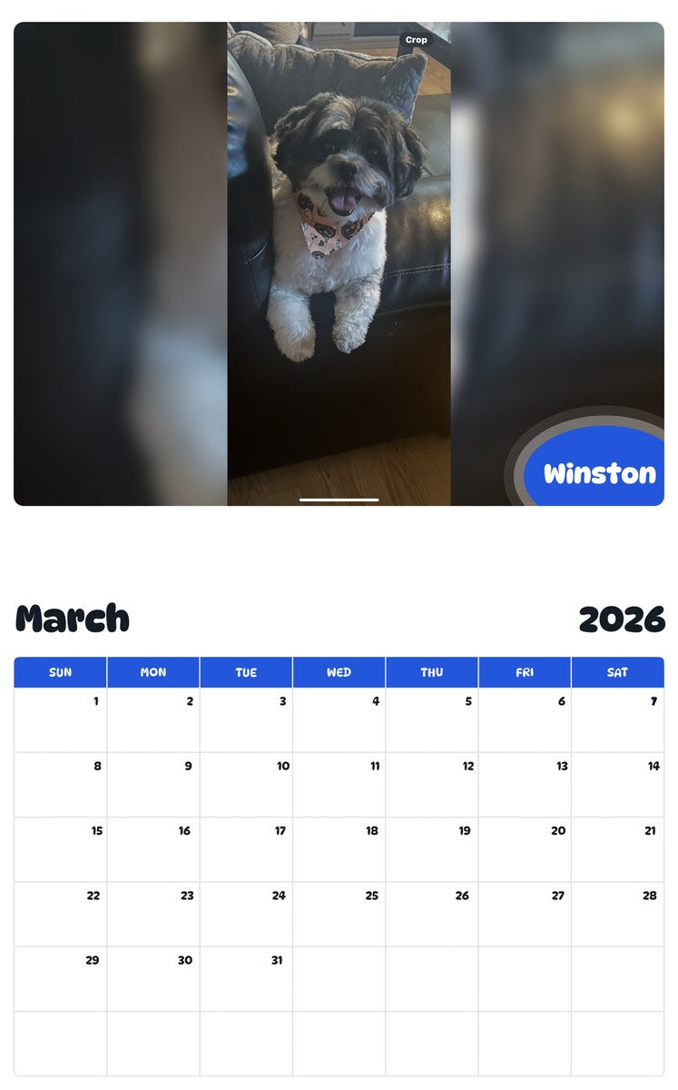 November 2025 - October 2026 Winston - Pawidols Pet Calendar
