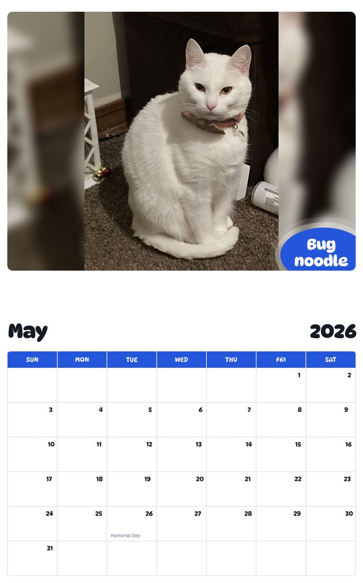 2026 - 2027 Bug noodle - Pawidols Pet Calendar