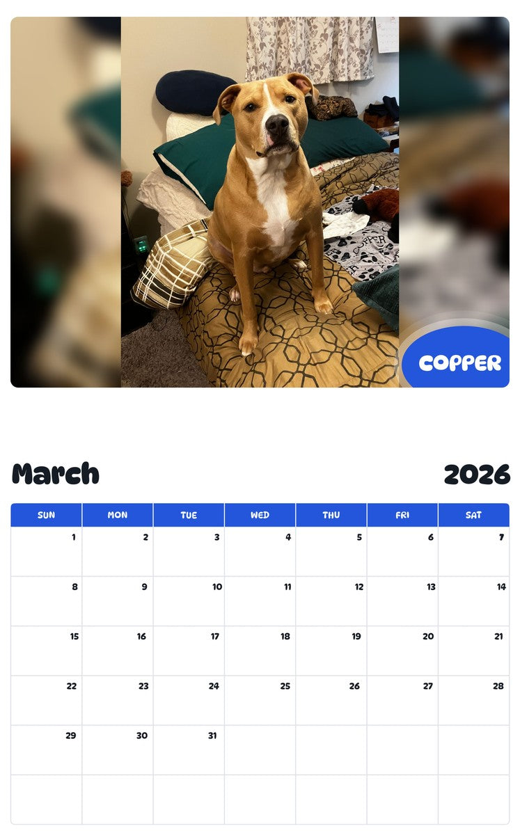 November 2025 - October 2026 COPPER - Pawidols Pet Calendar