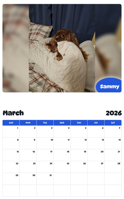 November 2025 - October 2026 Sammy - Pawidols Pet Calendar