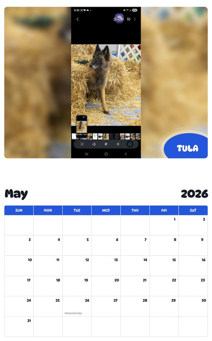 2026 - 2027 TULA - Pawidols Pet Calendar